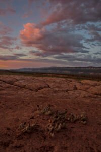 Escalante Wilderness