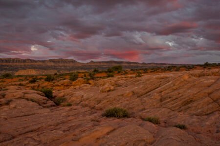 Escalante Wilderness