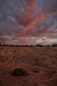 Escalante Wilderness