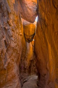 Escalante Wilderness