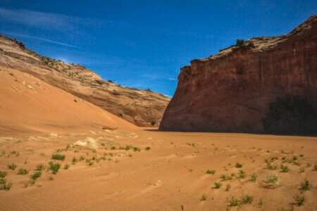 Escalante Wilderness