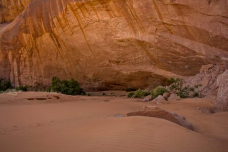 Escalante Wilderness