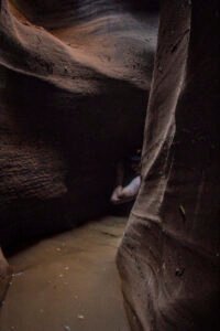 Brimstone Canyon