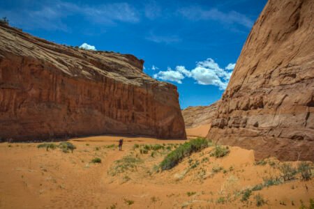 Escalante Wilderness