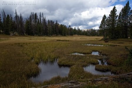 Lofty Lake Loop