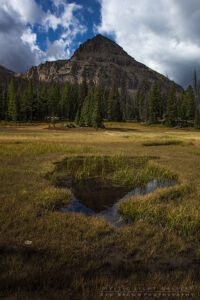 Lofty Lake Loop