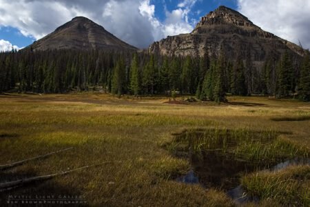 Lofty Lake Loop
