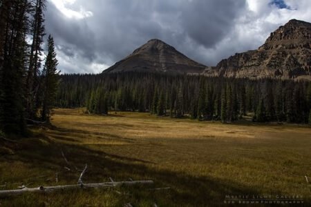 Lofty Lake Loop