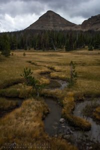 Lofty Lake Loop