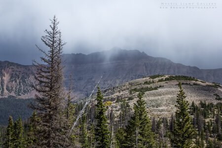 Lofty Lake Loop