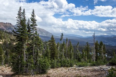 Lofty Lake Loop