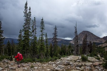 Lofty Lake Loop