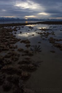 Antelope Island