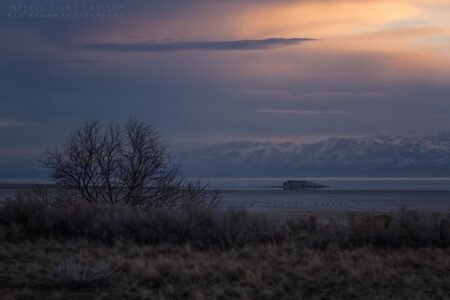 Antelope Island