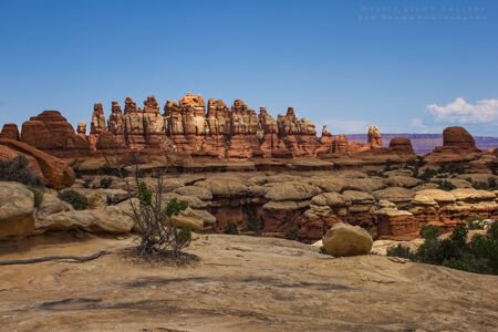 The Needles, Canyonlands NP