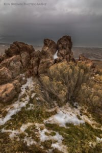 Buffalo Point