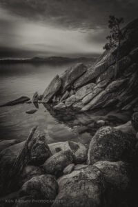 The Tree On The Rocks