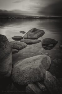The Tree On The Rocks