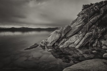 The Tree On The Rocks