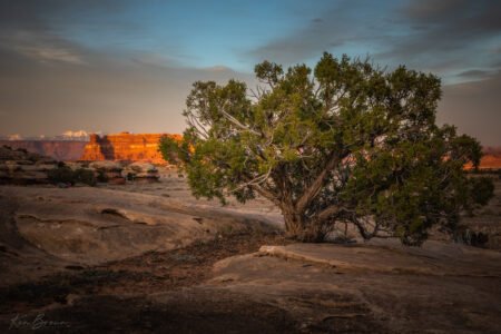 Canyonlands National Park, Utah