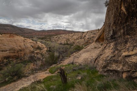 Cedar Mesa, Utah