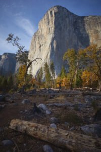 Yosemite National Park, California