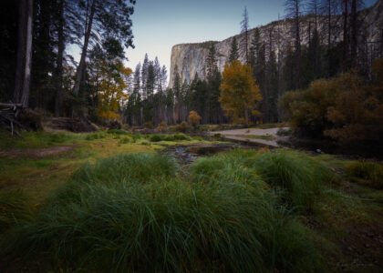 Yosemite National Park, California