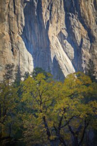 Yosemite National Park, California