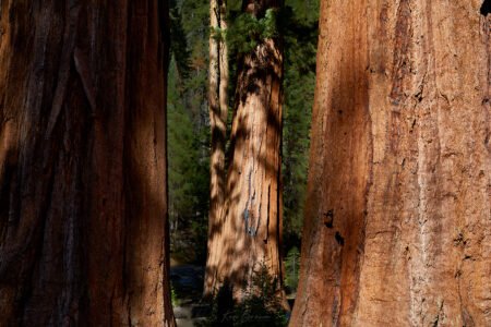 Yosemite National Park, California
