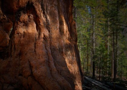Yosemite National Park, California