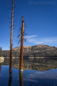 Notch Mountain Loop