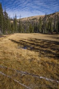 Notch Mountain Loop