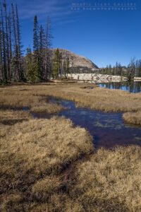 Notch Mountain Loop