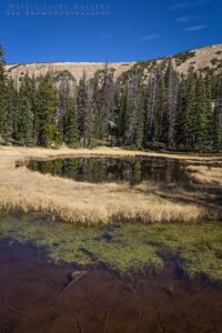 Notch Mountain Loop