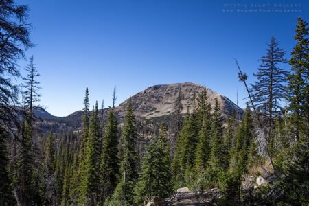 Notch Mountain Loop