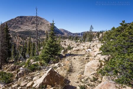 Notch Mountain Loop