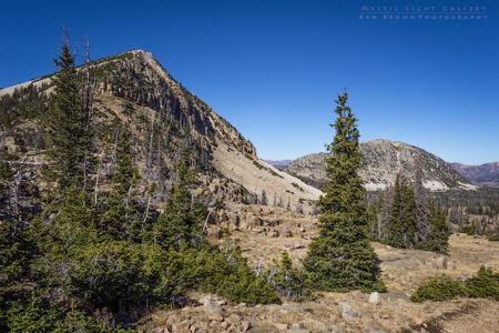 Notch Mountain Loop