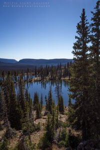Notch Mountain Loop