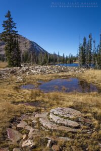 Notch Mountain Loop