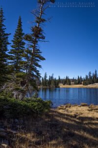 Notch Mountain Loop
