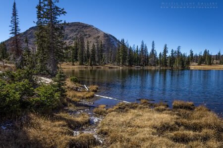 Notch Mountain Loop
