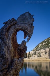 Notch Mountain Loop