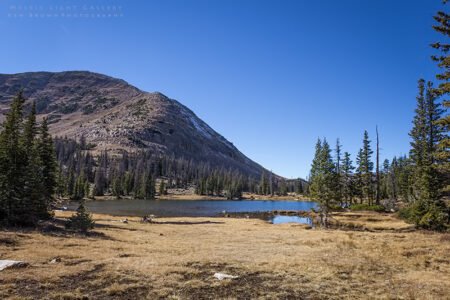 Notch Mountain Loop