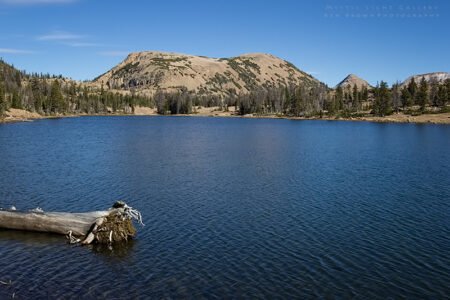 Notch Mountain Loop