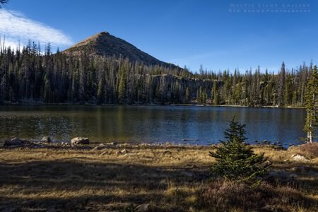 Notch Mountain Loop