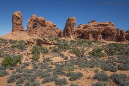 Arches