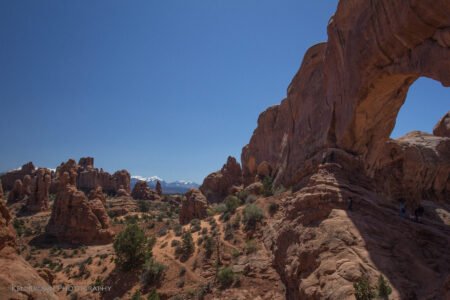 Arches