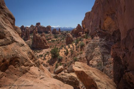 Arches