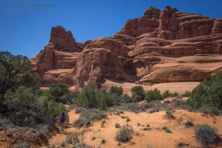 Arches