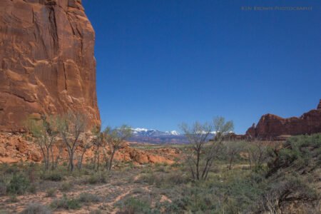 Arches